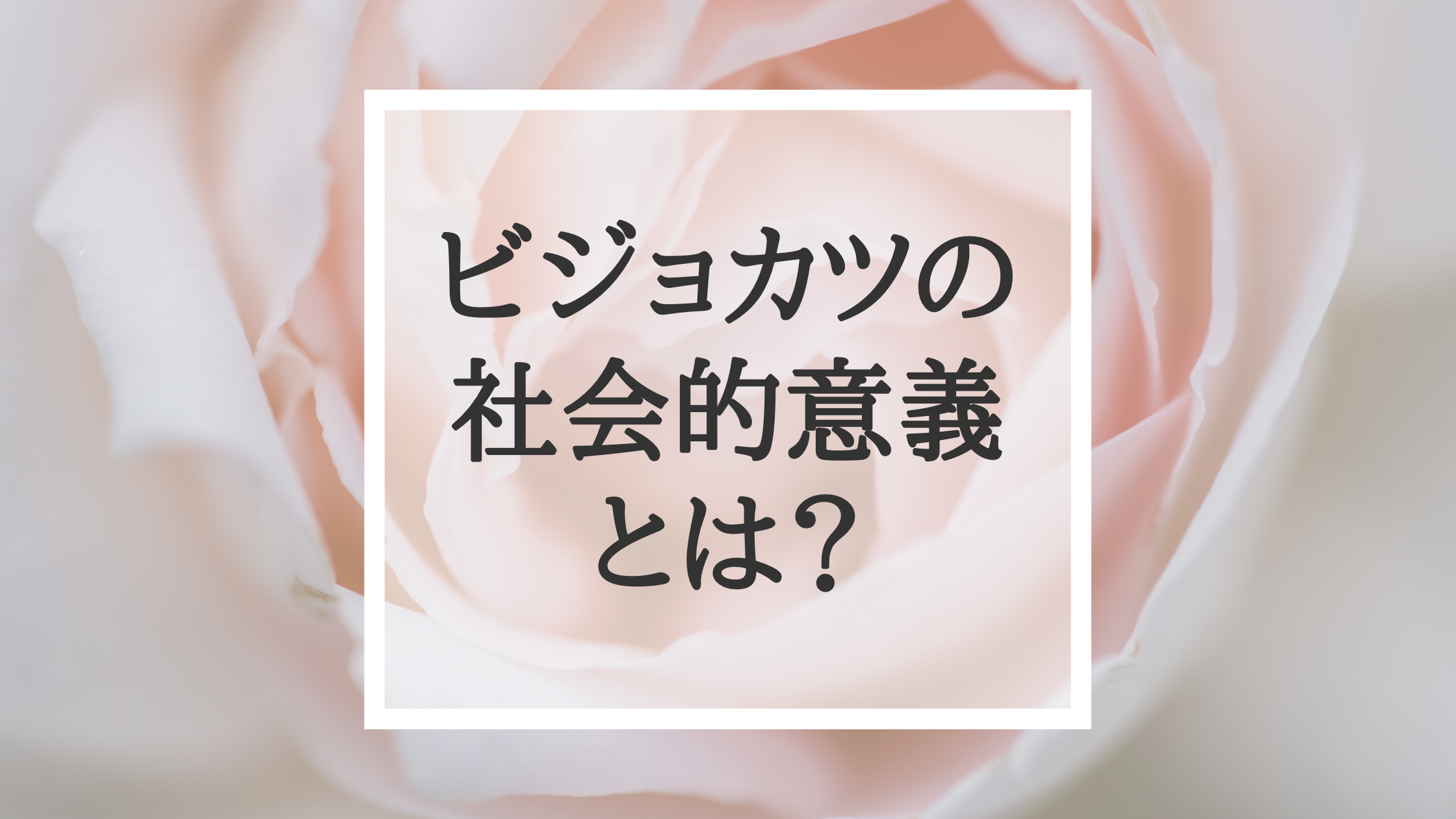 ビジョカツの社会的意義とは？